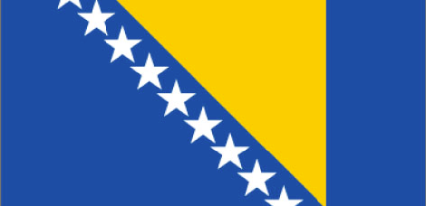 Bosnia Flag