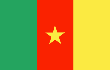 Cameroon Flag