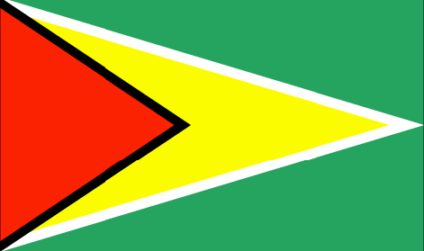 Guyana Flag